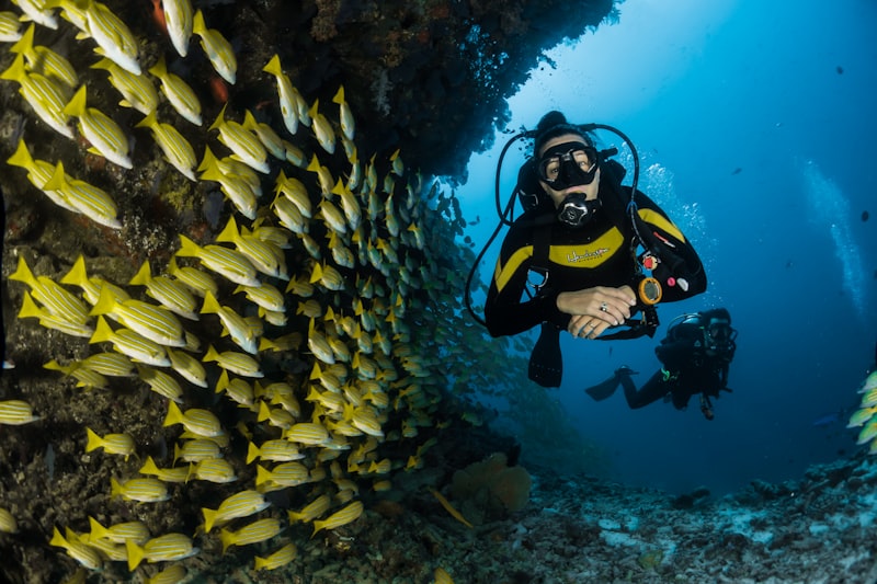 Rosario Islands Day Trip