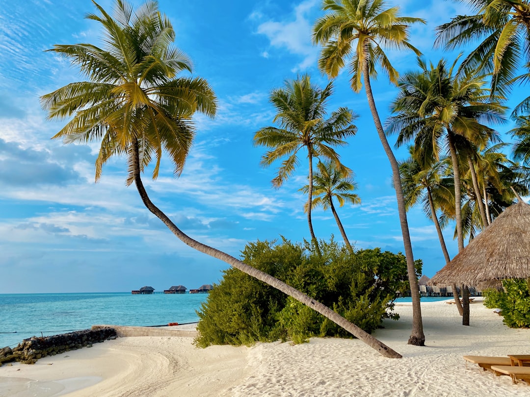 Cartagena Colombia seaside beach waterfront