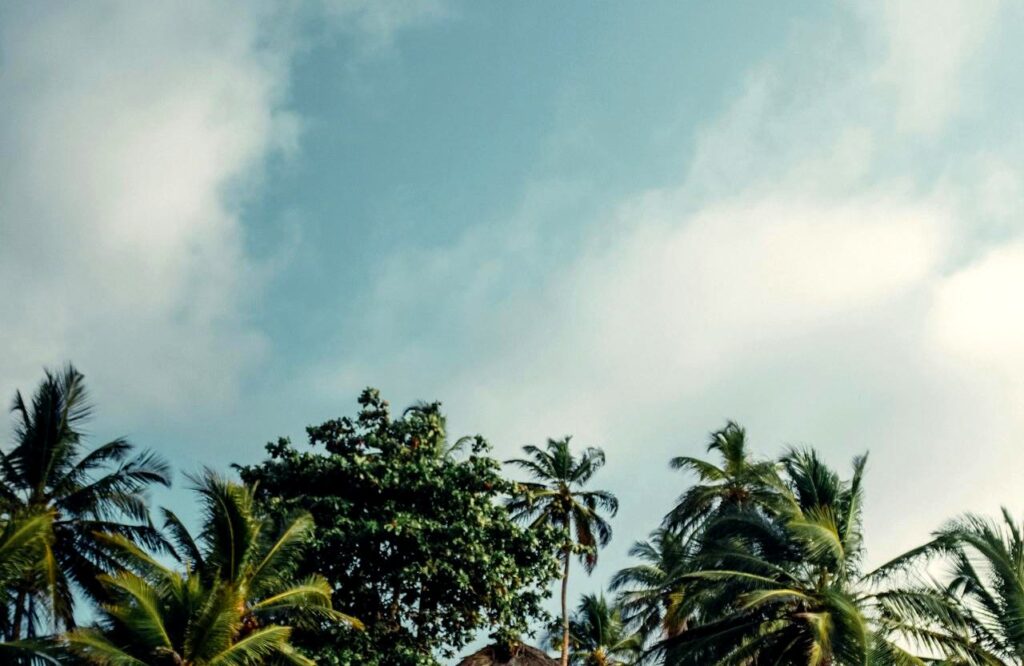 Colombian island beach with palm trees near Cartagena Islas del Rosario